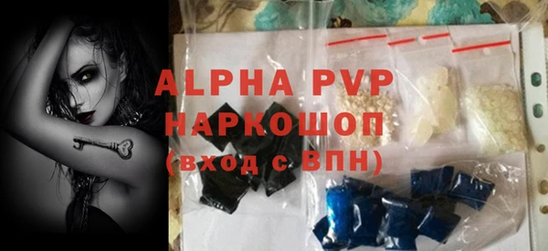 амф Инсар