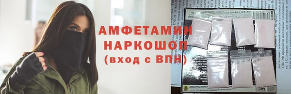 амф Инсар