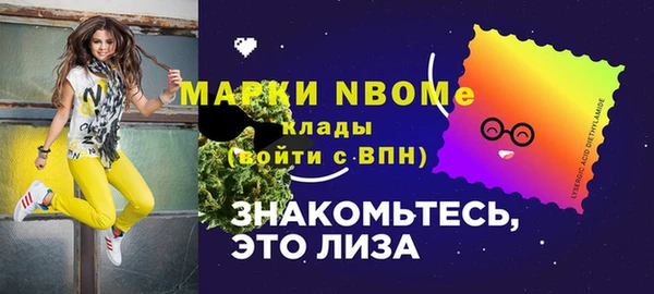 амф Инсар