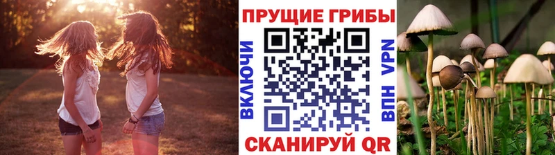 Купить закладки  Губкинский  Псилоцибиновые грибы мухоморы 