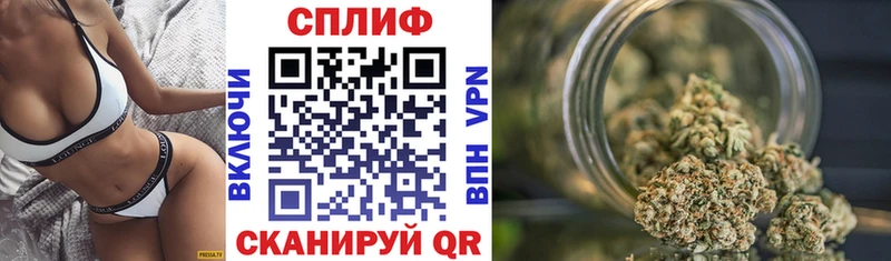 Купить  Губкинский  Канабис индика 